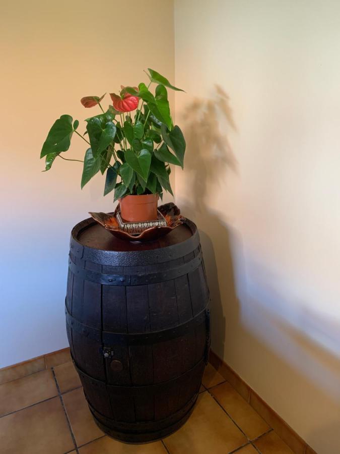 A louer appartement dans une maison Arcangues Extérieur photo